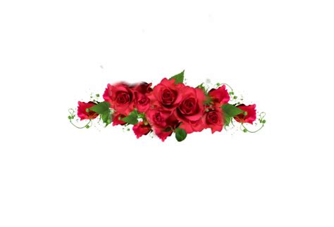 Free Red Roses Border Png Download Free Red Roses Border Png Png