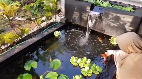 Selain semakin menambah keindahan luar rumah, proses perawatan atau pembersihan. Tips Mudah Membangun Kolam Koi yang Cantik dan Bikin ...