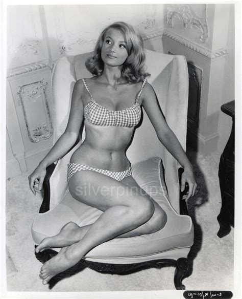 Orig 1963 BARBARA BOUCHET In Gingham Bikini DEBUT PIN UP Portrait