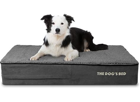 The Best Orthopedic Dog Beds Of 2023 Fresno Bee Reviews