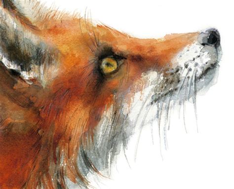 Fox Watercolor Painting Woodland Fox Print Fox Illustration Etsy Uk