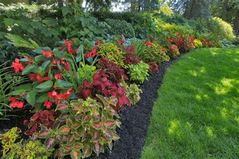 Planning Landscaping For Shade Loving Flowers