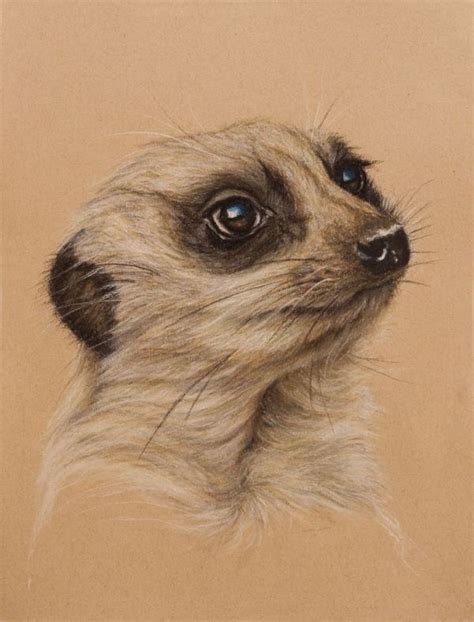 Meerkat By Wendy Beresford On Strathmore Toned Tan Animal Drawings