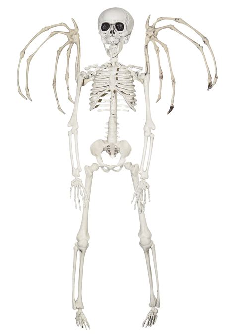 16 Inch Winged Skeleton Decoration Skeleton Decorations