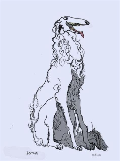 Z Borzoi Sitting 3 Animal Art Dog Drawing Animal Sketches