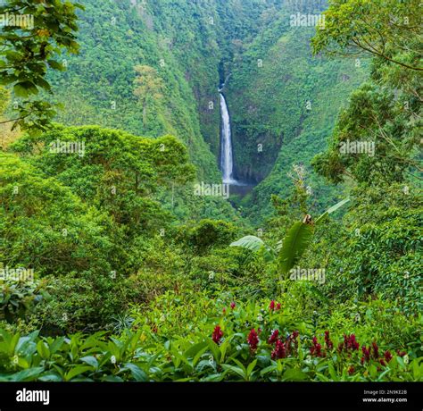 Waterfalls In The Costa Rican Rainforest Stock Photo Alamy