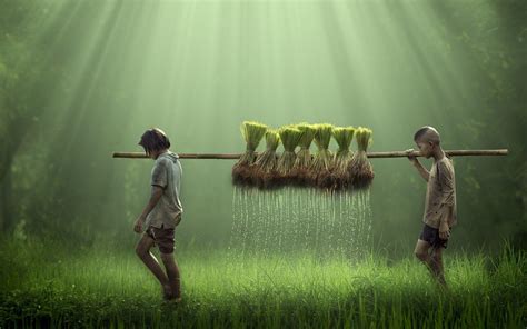 Hình nền người nông dân Ấn Độ Top Những Hình Ảnh Đẹp
