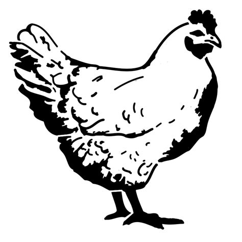 Chicken Stencil Sp Stencils