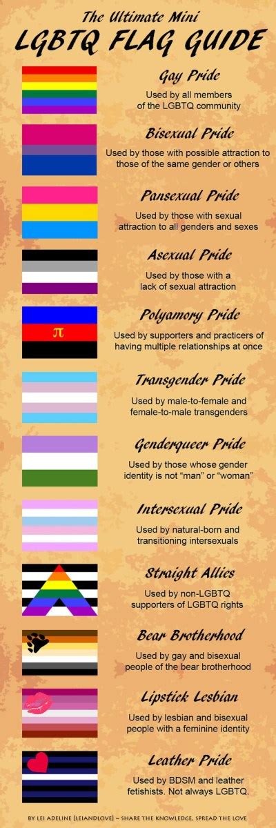 Ultimate Lgbtq Flag Guide By Leiandlove On Deviantart Pridenation