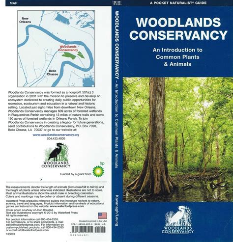 Species Identification Woodlands Conservancy