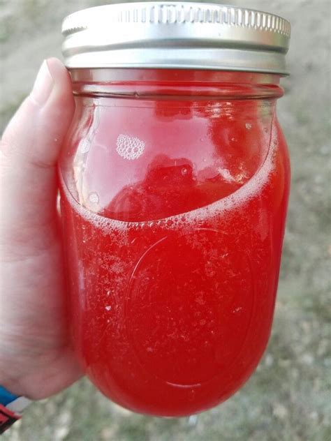 Watermelon Moonshine Recipe With Everclear Bryont Rugs And Livings