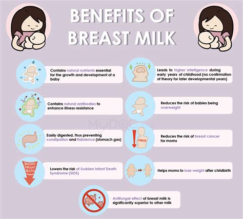 Formula Vs Breast Milk Wholesale Cheap Save Jlcatj Gob Mx