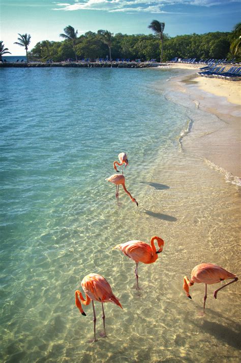 Things To Do In Aruba Our Favourite Places To See In Aruba