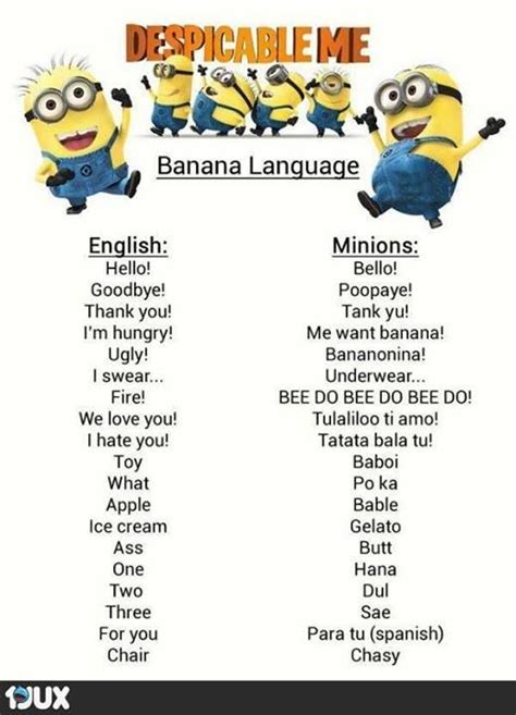 I Will Be Fluent In Minion Language By The End Of This Summer