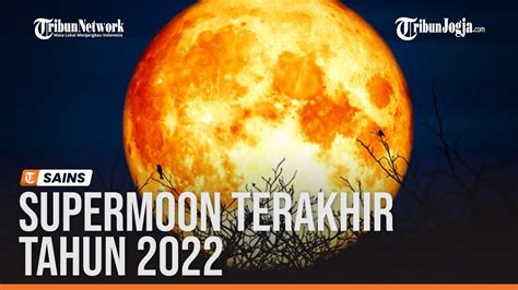Supermoon Terakhir Tahun 2022 Catat Waktu Menyaksikan Sturgeon Moon