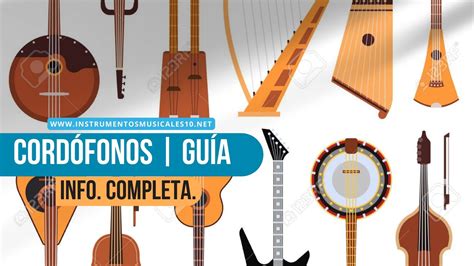 Cordófonos Qué Son Y Clasificación Instrumentos Musicales