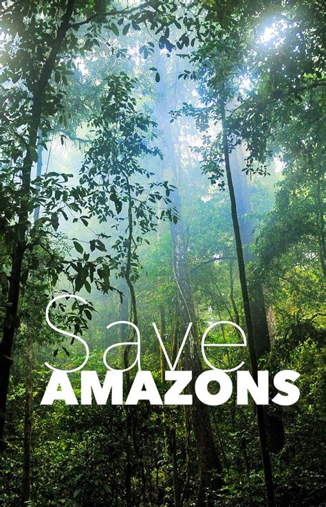 Let S Save The Rainforest Together With Wwf And Baidu Floresta Floresta Amazonica Amazonas