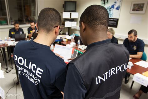 Interpol, NDLEA, others impound 881kg of illicit drugs in Sokoto News ...