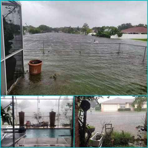 My backyard after Ian. I'm in South Daytona with 89 mph wind gusts. No