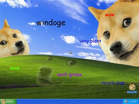 47 Doge Meme Wallpaper