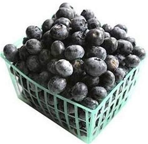 From what i can gather online, 1 cup blueberries equals about 4 ounces. Blueberry Recipe Index, What's Cooking America