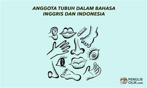 Jati diri bahasa indonesia memperlihatkan bahwa bahasa indonesia adalah bahasa yang sederhana, tata bahasanya mempunyai sistem sederhana, mudah dipelajari, dan tidak rumit. Pantun Bahasa Inggris Dan Artinya Tentang Pendidikan ...