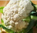 Brassica oleracea var. botrytis 'White Snowball' | Cauliflower | Ebert ...