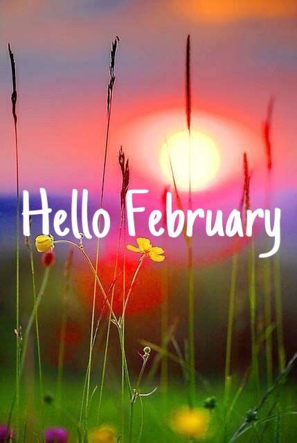 Hello February Pictures Photos And Images For Facebook Tumblr