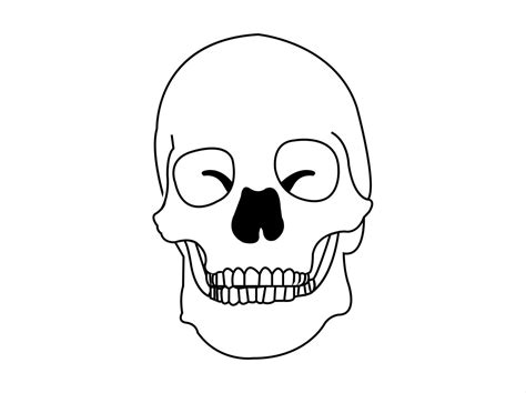 Human Skull Vector 658547 Vector Art At Vecteezy
