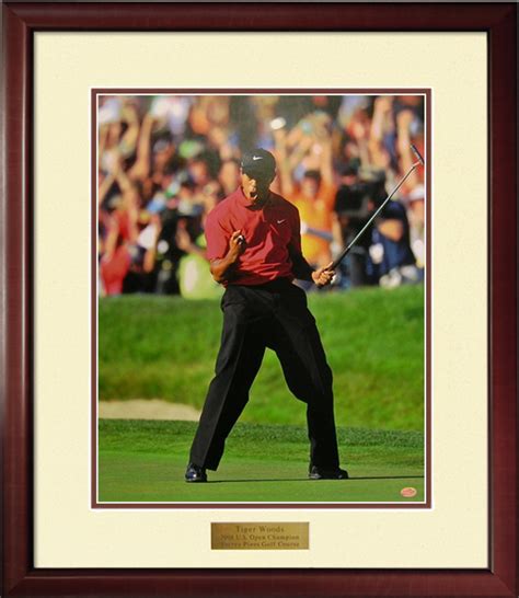 Golf Art Tiger Woods 2008 Us Open Torrey Pines Framed Print