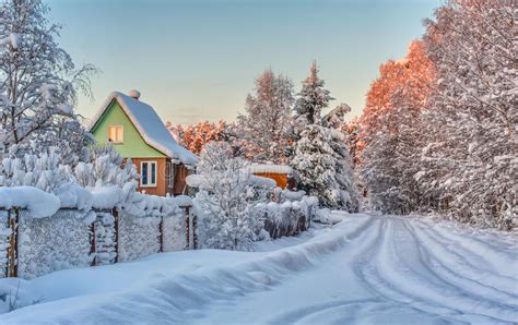 Winter Rural Road And Trees In Snow Stock Image Image Of