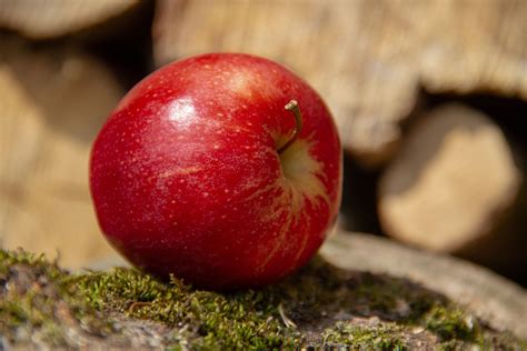 Free Image On Pixabay Apple Fruit Red Food Healthy In 2020