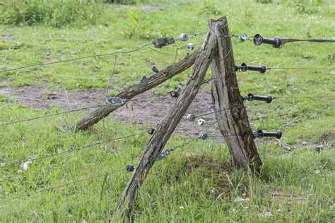 The most useful electric goat fences are portable. Best Goat Fencing Options and How to Effectively Confine ...