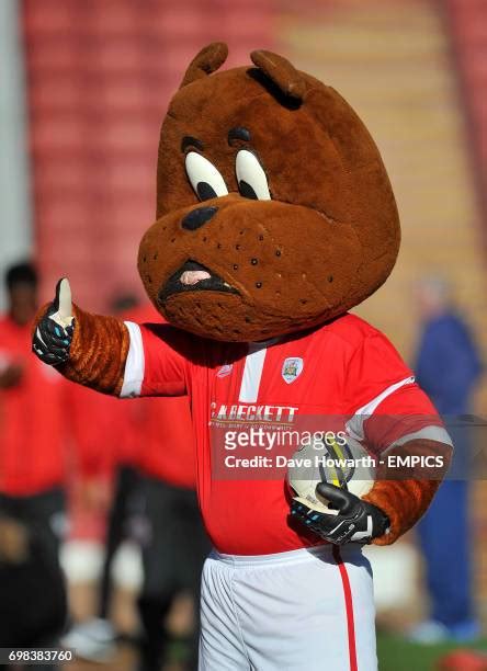 Barnsley Mascot Toby Tyke Photos And Premium High Res Pictures Getty