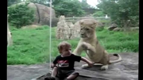 Kids At The Zoo Compilation Youtube