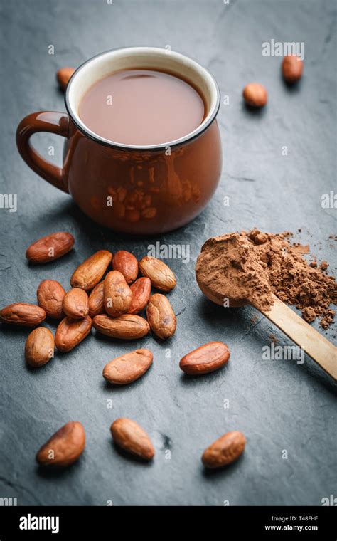 Cacao Frais Banque De Photographies Et D’images à Haute Résolution Alamy