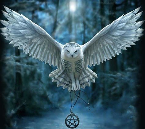 Collection 99 Wallpaper Harry Potter Owl Drawing Stunning 102023