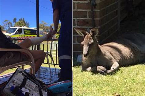 Man Gets Attacked By Kangaroo Who Was In ‘a Bad Mood’