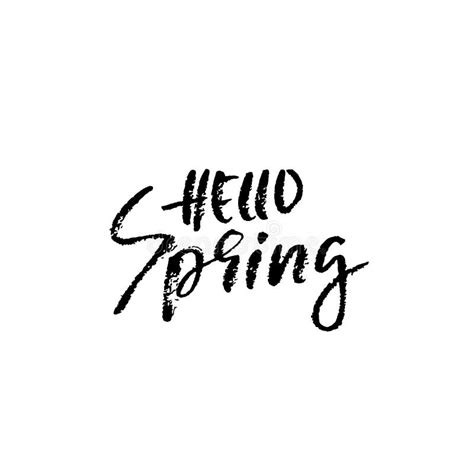 Hello Spring Hand Drawn Calligraphy Lettering On White Background