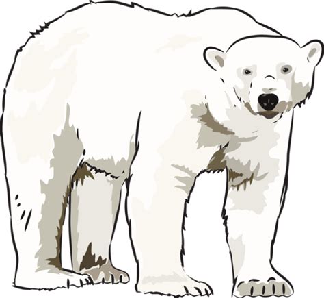 Free Polar Bear Clip Art Download Free Polar Bear Clip Art Png Images Free ClipArts On Clipart
