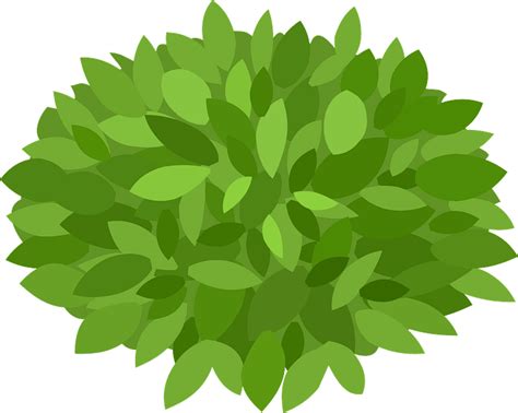 Bush Clipart Free Download Transparent Png Creazilla