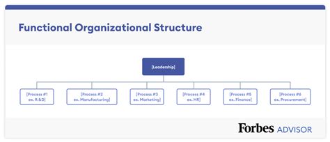 7 Organizational Structure Types With Examples Forbes Advisor