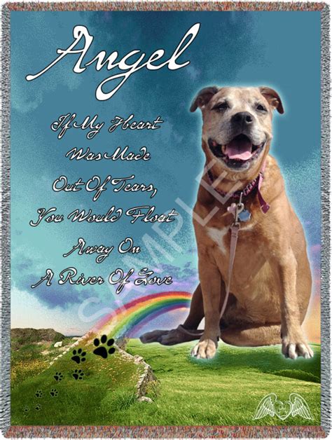 Guardian pet insurance gives you economic peace of mind while ensuring that your pet has the adequate care and treatment to get them on the road to recovery. Custom Rainbow Bridge - ANGEL PAWPRINT-Compassionate Pet Loss Grief Counseling Las Vegas