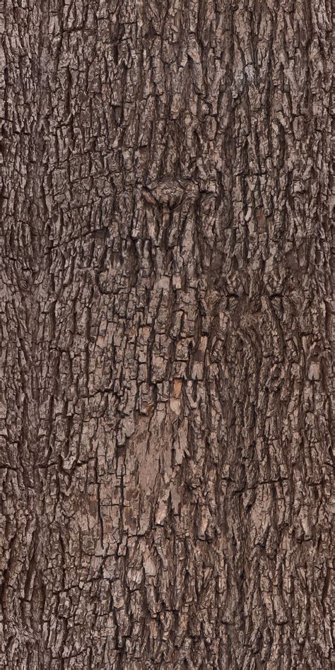 Tree Bark Texture Pattern Tree Bark Texture Tree Textures Wood