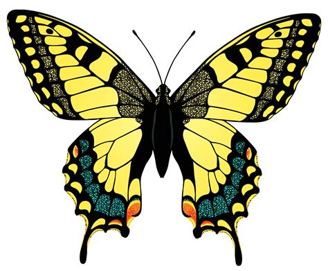 Yellow Butterfly Png Image Butterfly Illustration Butterfly Pictures