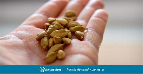 Beneficios Del Cardamomo Para La Salud Y Precauciones De Uso