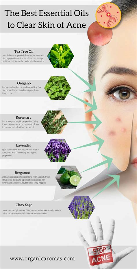 The Best Essential Oils To Help With Acne Oils For Skin Best Oil
