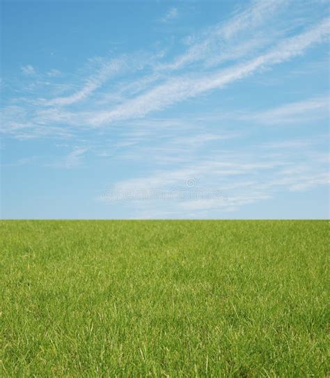 Green Grass And Blue Sky Stock Image Image Of Space Landscaped 3239749