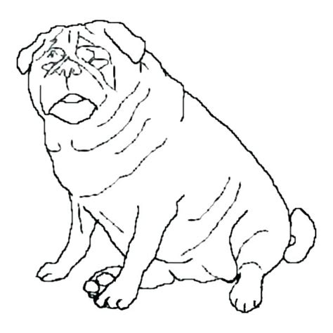 Newfoundland Dog Coloring Page At Free Printable