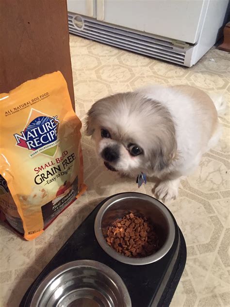 That's why dog food recalls exist, and generally, they are a good thing. Natures Recipe dog food free sample #MyMagazineSharing # ...